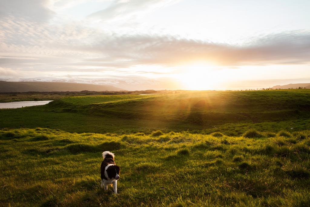 Mithhvammur Farm Stay Athaldalur Exteriér fotografie