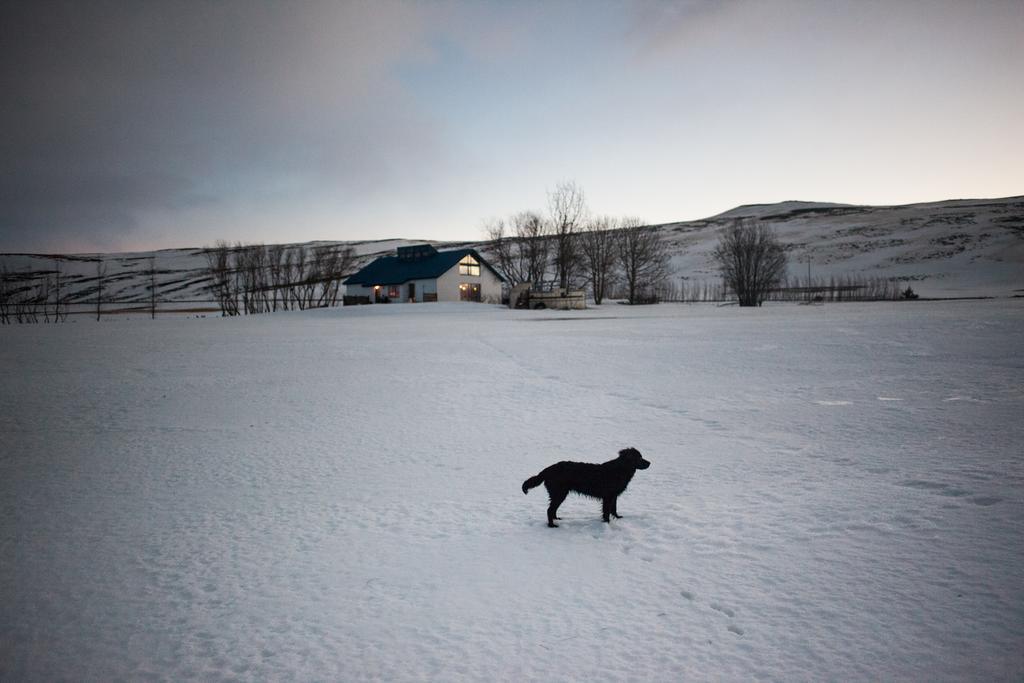 Mithhvammur Farm Stay Athaldalur Exteriér fotografie