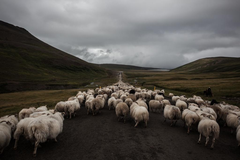 Mithhvammur Farm Stay Athaldalur Exteriér fotografie
